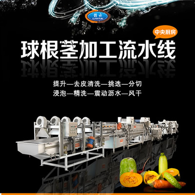 球根莖瓜果處理流水線 球根莖瓜果處理流水線